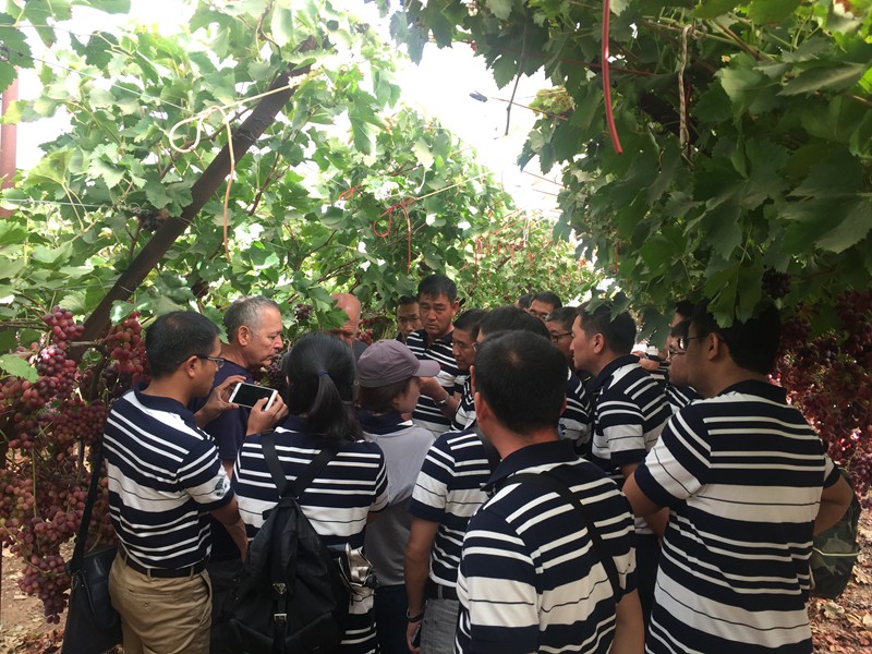 愛普科技游學(xué)團(tuán)隊探尋以色列現(xiàn)代農(nóng)業(yè)發(fā)展奧秘