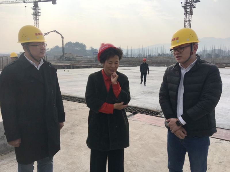 麗水市委常委、宣傳部長任淑女調研松陽美林&middot;南城壹號項目
