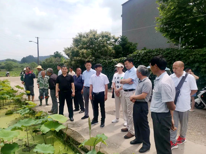 浙農(nóng)股份參加&ldquo;六送下鄉(xiāng)&rdquo;活動