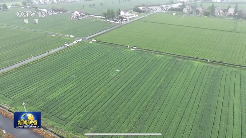 助農降本增收！浙農耘糧油未來農場獲央視《新聞聯播》報道