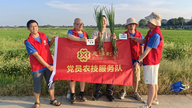 惠多利黨員農(nóng)技服務(wù)隊(duì)在嘉興開展水稻試驗(yàn)回訪 以科技服務(wù)助力糧食豐收